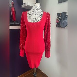 Ruby Jane Dress with Sequined Long Sleeves